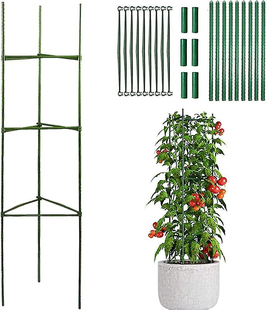 Garden Support Plants_ Tomato Cage_ Climbing Plant