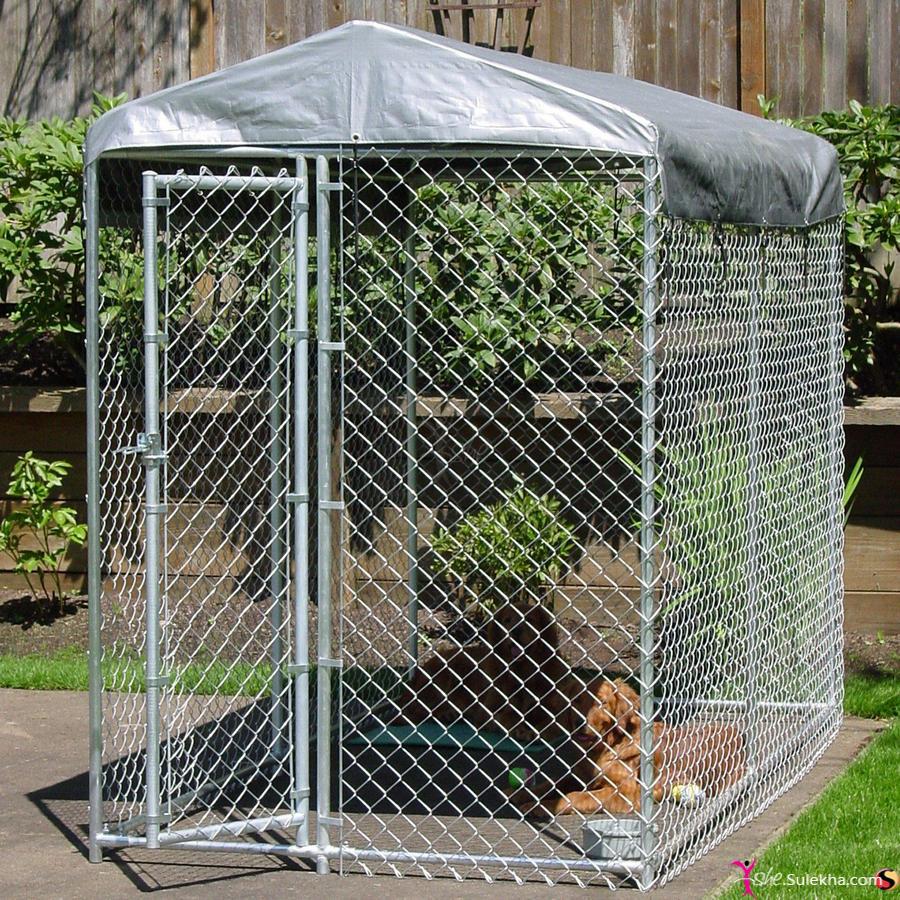 dog kennel (26)