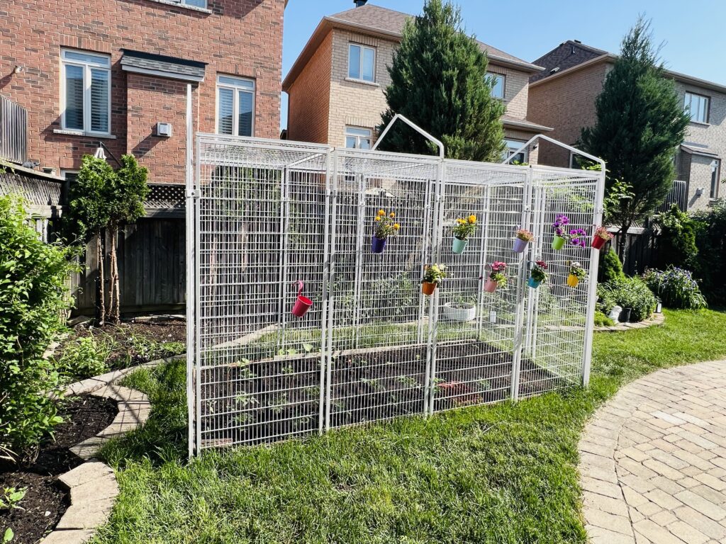 微信图片 20231120113029