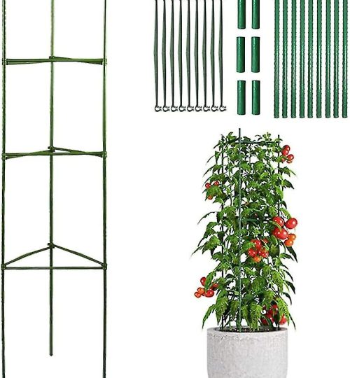garden support plants tomato cage climbing plant