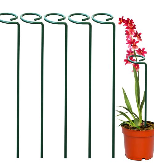 primary2copy 1 cd3aa5ed 736b 46f8 a829 43a799236f8c