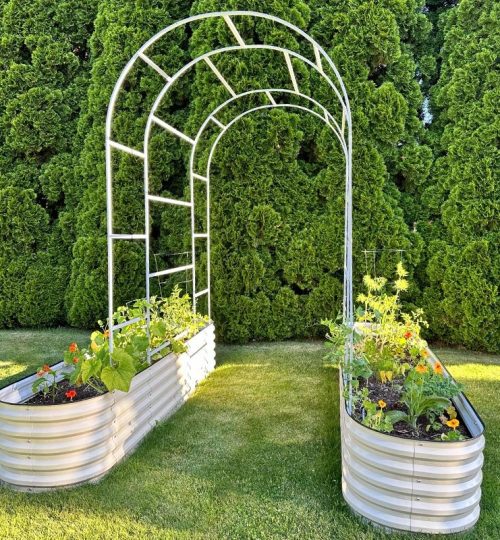 arched trellis zn al mg steel for 8ftl for 65ftl 766194 ea67fcae e26e 4409 8004 7ca7a8c456e9