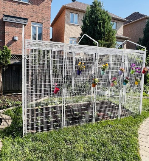 微信图片 20231120113029(1)