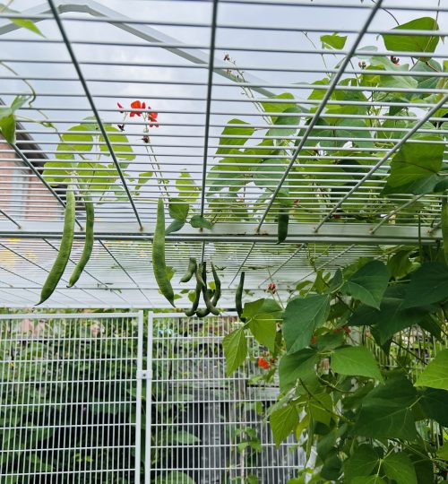 微信图片 20231120113907